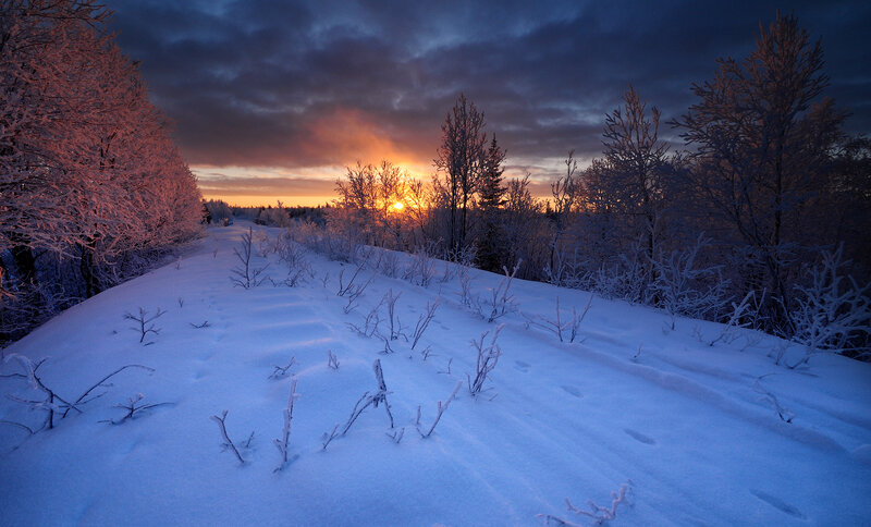 Snow-covered Path at Sunset — Blue