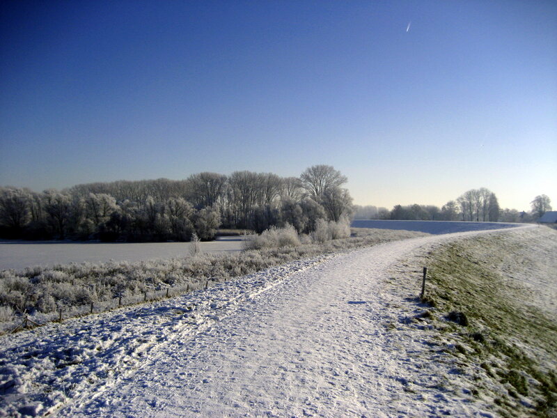 Snow-covered Path — Blue