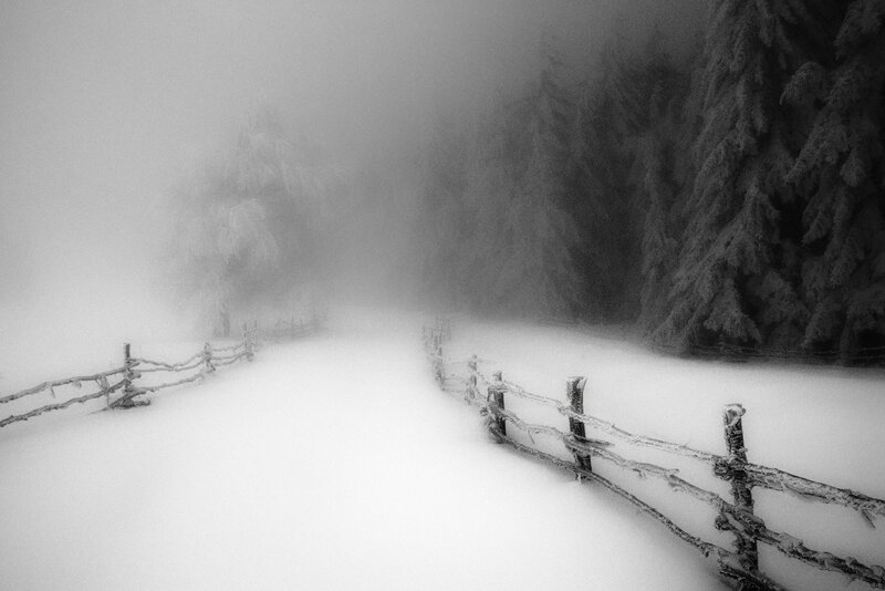 Snow-covered Path in Forest — Black, Misty