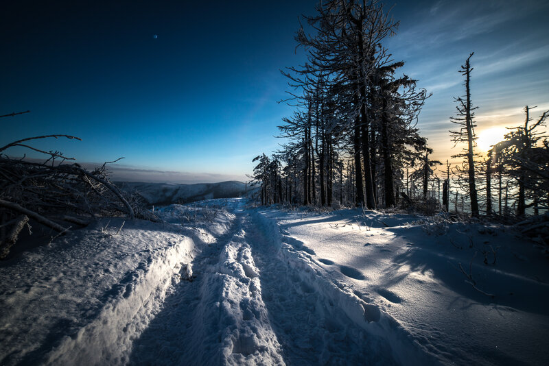 Snow-covered Path in Forest — Blue, Dramatic