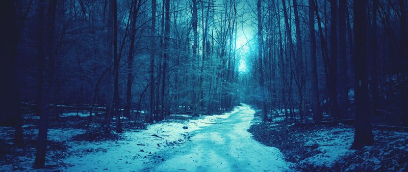 Snow-covered Path in Forest — Blue, Mysterious