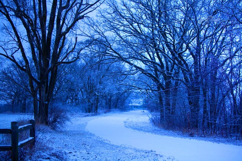 Snow-covered Path in Forest — Blue, Serene, Winter