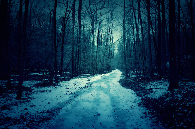 Snow-covered Path in Forest — Blue