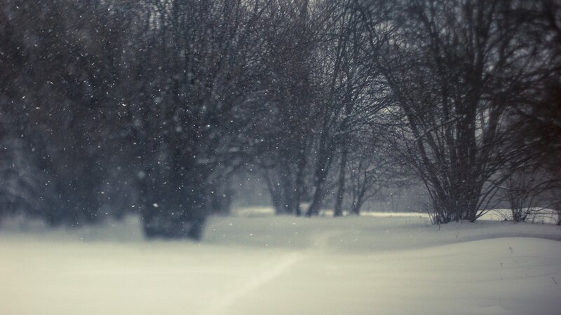 Snow-covered Path in Forest — White, Cold, Winter, Photograph