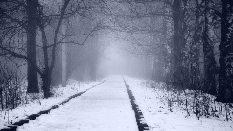 Snow-covered Path in Forest — White, Misty, Winter