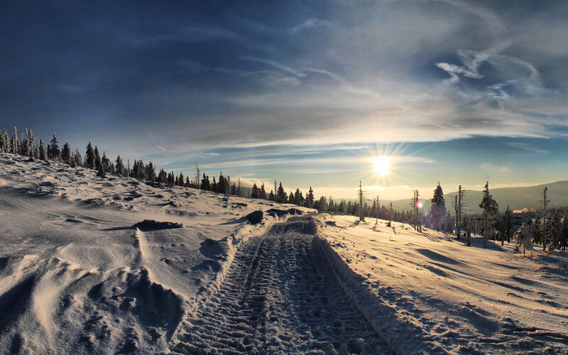 Snow-covered Path in Forest — White, Serene, Sunset