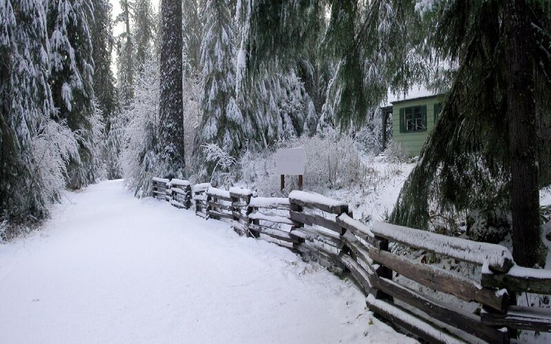 Snow-covered Path in Forest — White, Serene, Winter, Photograph, Fence, Cabin