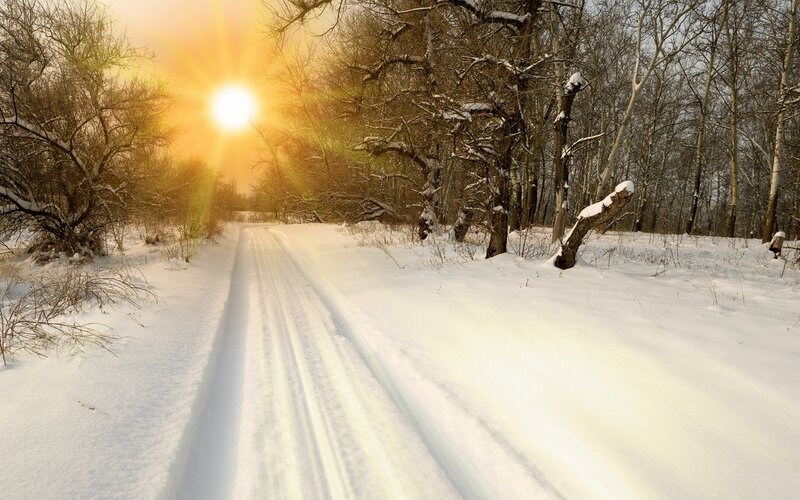 Snow-covered Path in Forest — White, Serene, Winter, Photograph, Sun