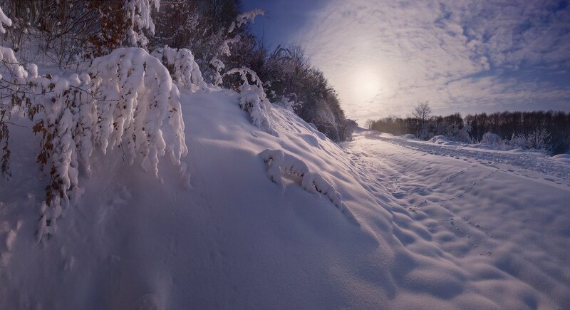 Snow-covered Path in Forest — White, Serene, Winter, Photograph, Trees, Sun