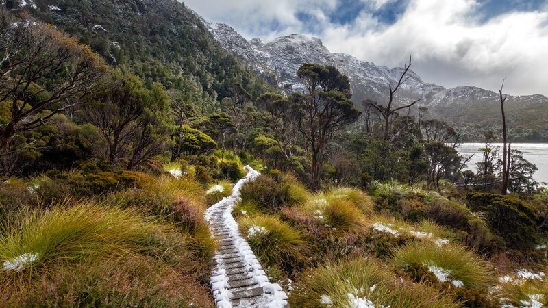 Snow-covered Path in Mountains — Green