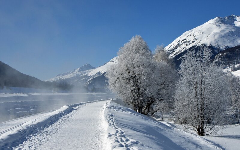 Snow-covered Path in Mountains — White, Serene, Winter
