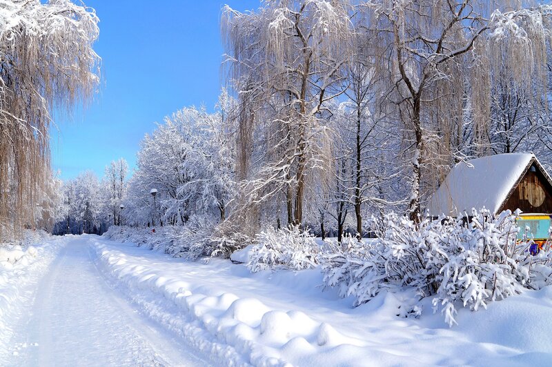 Snow-covered Path in Park — White, Serene