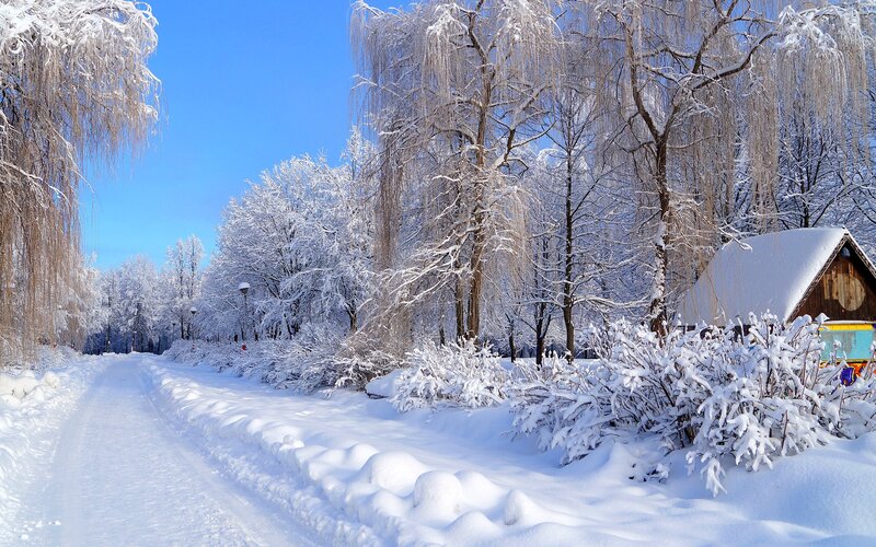 Snow-covered Path in Park — White, Serene, Winter