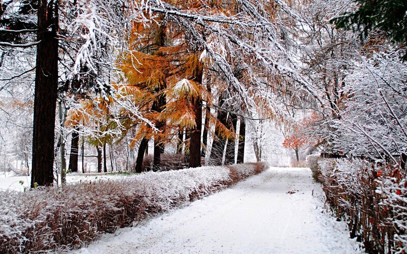 Snow-covered Path in Park — White