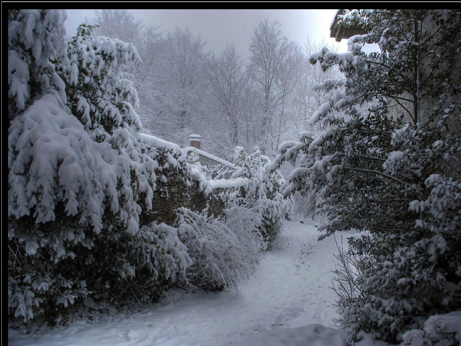 Snow-covered path in winter