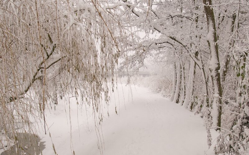 snow-covered path in winter