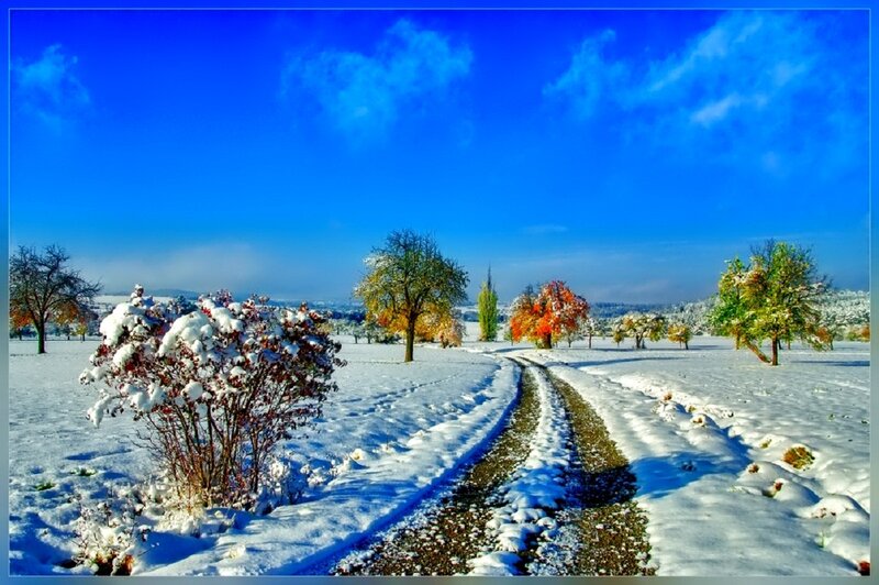 Snow-covered Path in Winter — Blue, Serene