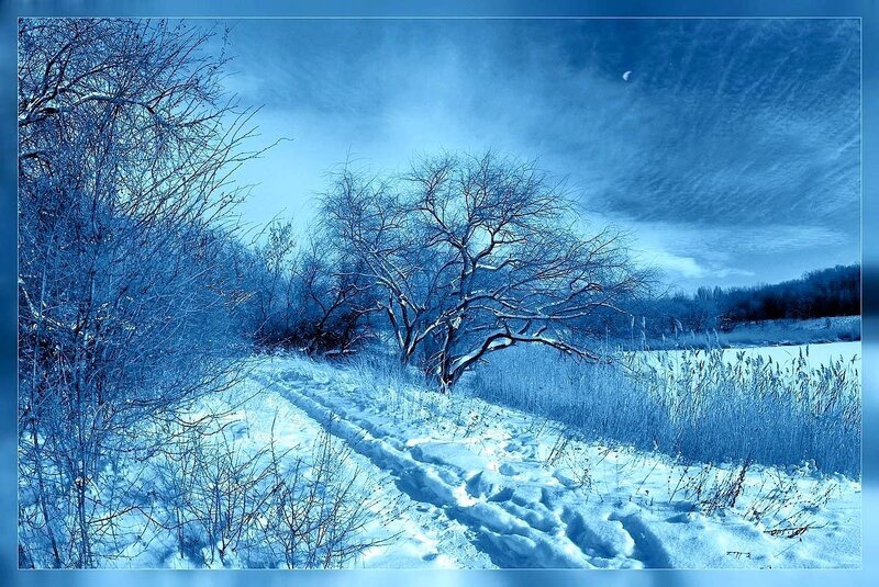 Snow-covered Path in Winter — Blue