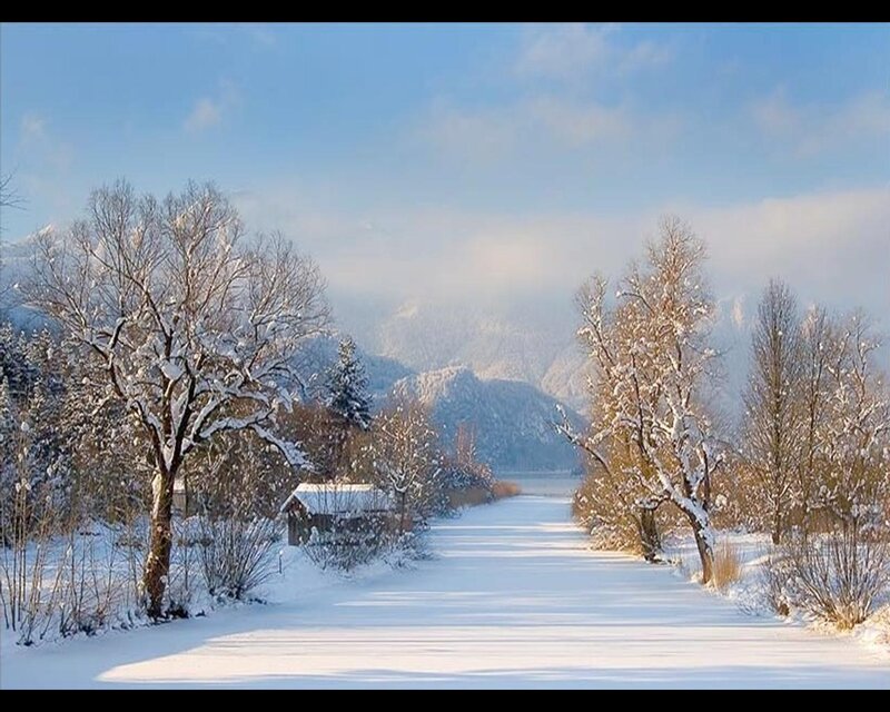 Snow-covered Path in Winter — White, Serene, Photograph