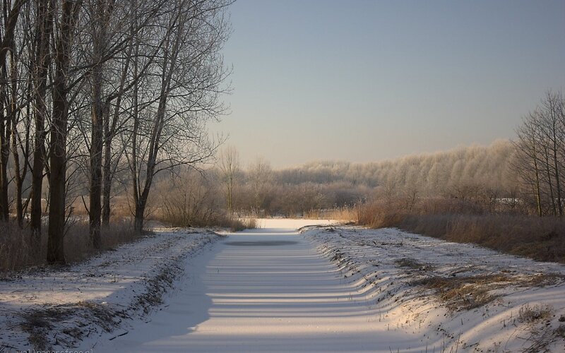 Snow-covered Path in Winter — White, Serene