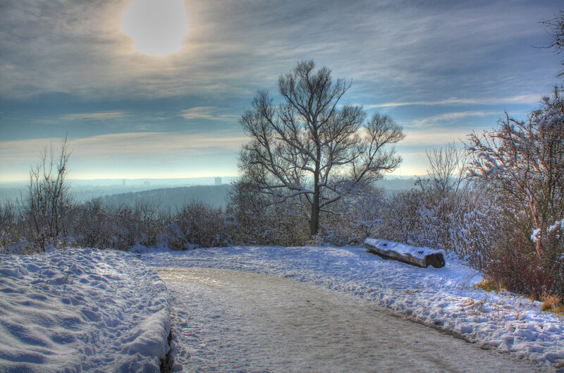 Snow-covered Path in Winter — White