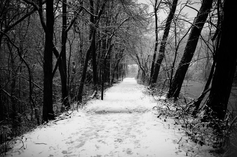 Snow-covered Path in Woods