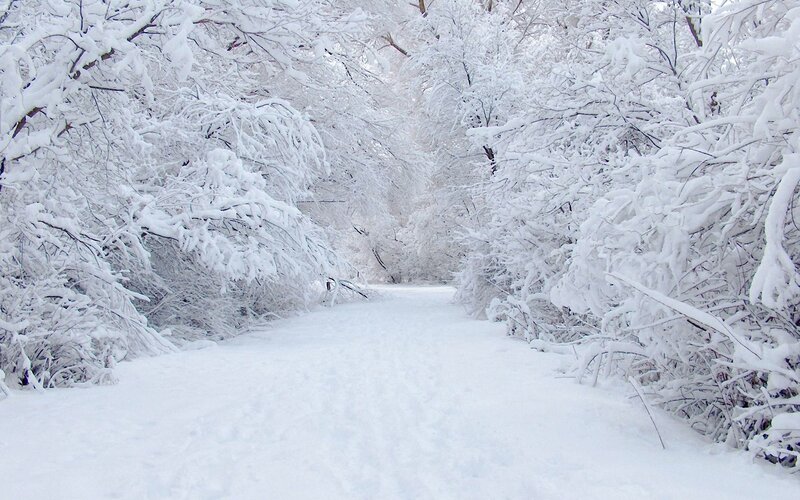 Snow-covered Path — Photograph