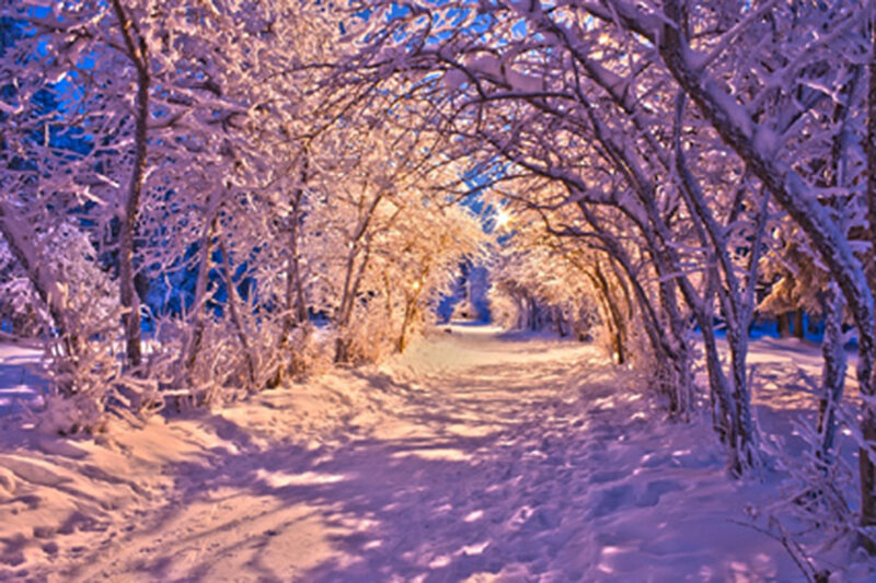 Snow-covered Path — Purple, Serene