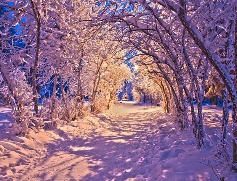 Snow-covered Path — Purple