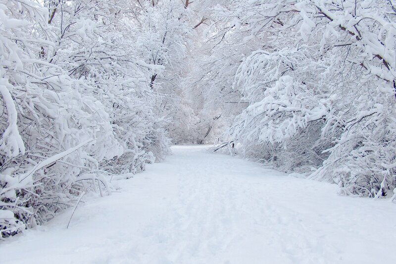 Snow-covered Path — Serene