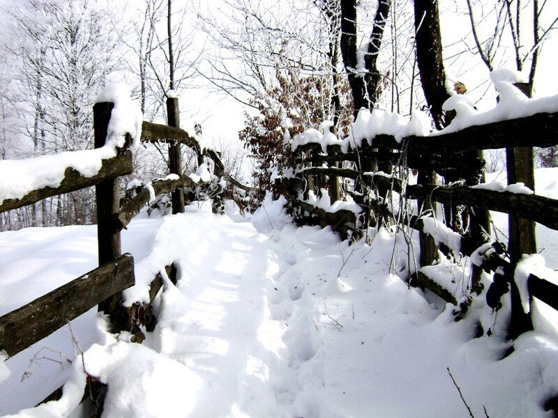 Snow-covered Path