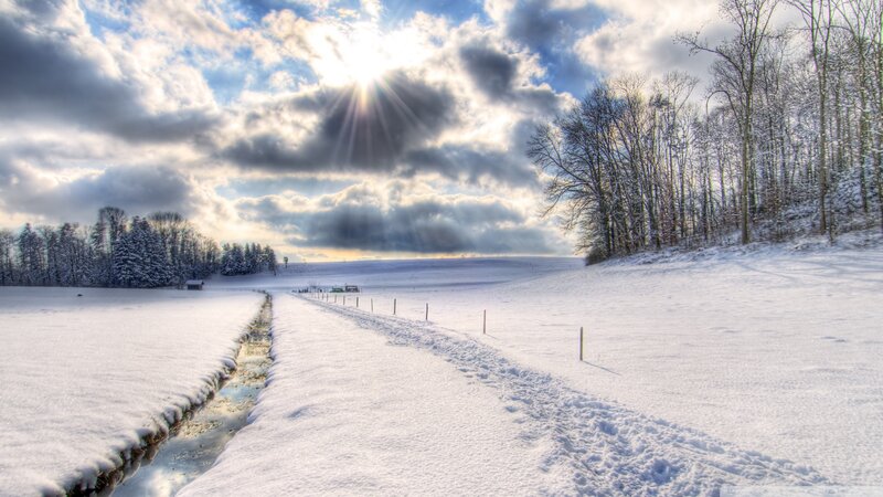 Snow-covered Path — White, Dramatic, Winter