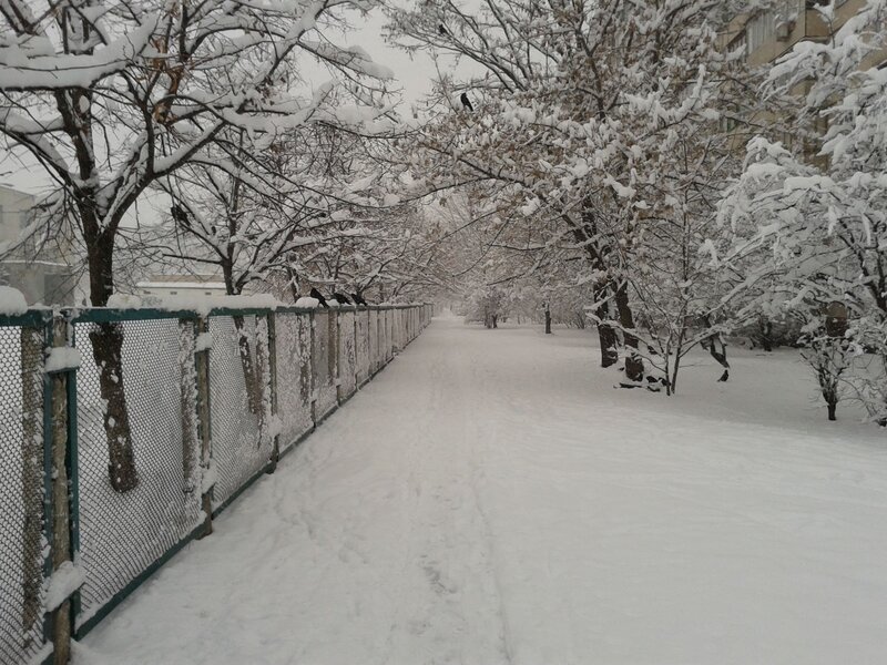 Snow-covered Path — White, Quiet
