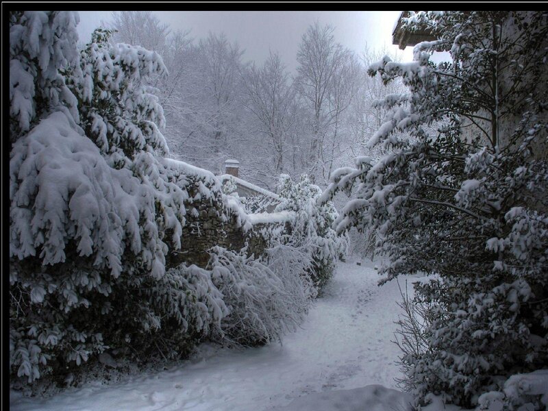 Snow-covered Path — White, Quiet, Winter, Photograph