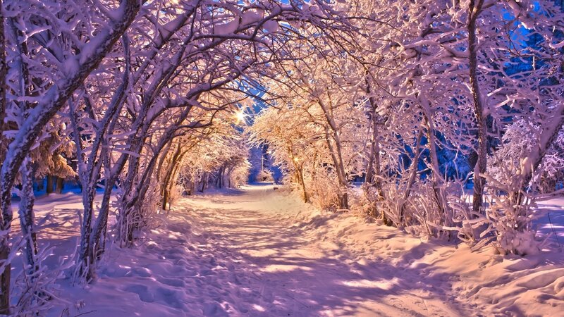 Snow-covered Path — White, Serene, Night, Photograph