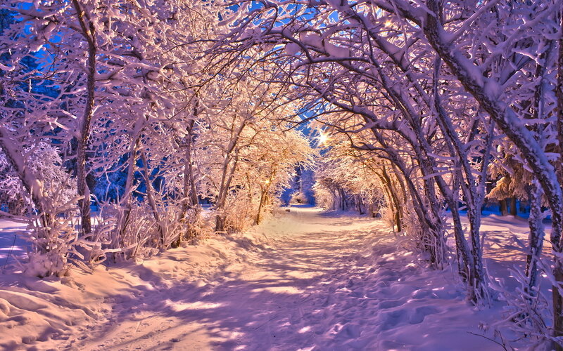 Snow-covered Path — White, Serene, Night