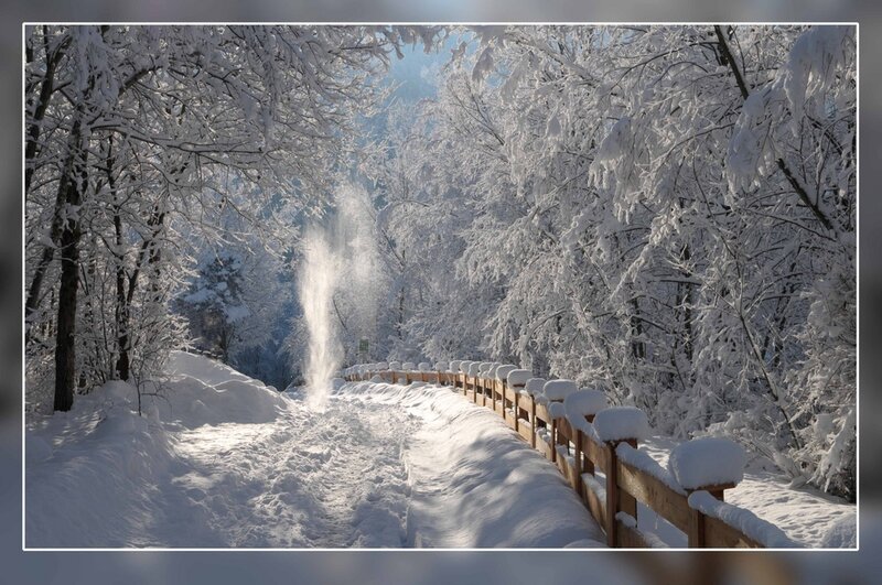 Snow-covered Path — White, Serene