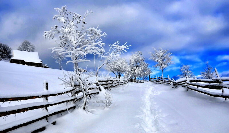Snow-covered Path — White, Serene, Winter, Photograph, Fence