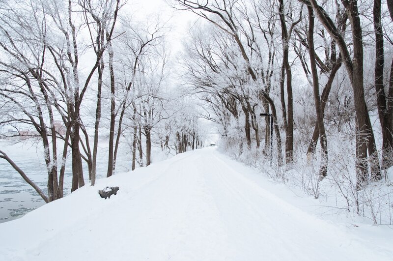 Snow-covered Path — White, Serene, Winter, Photograph, Trees, River