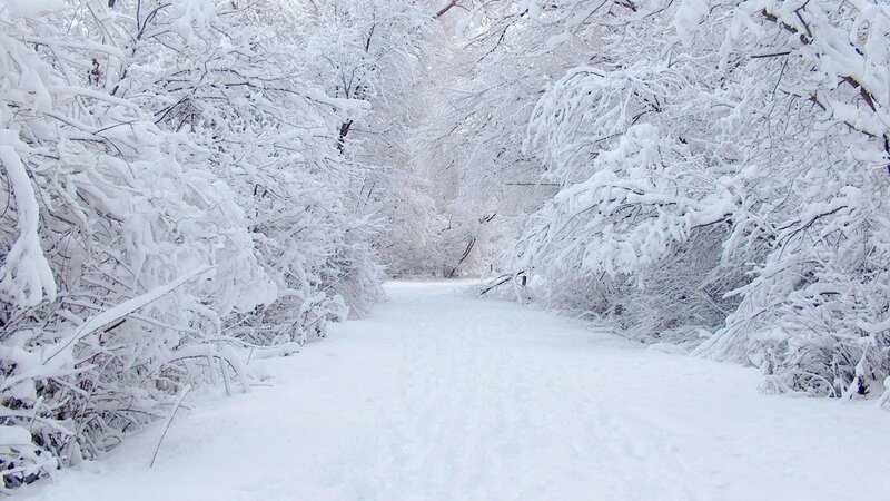 Snow-covered Path — Winter