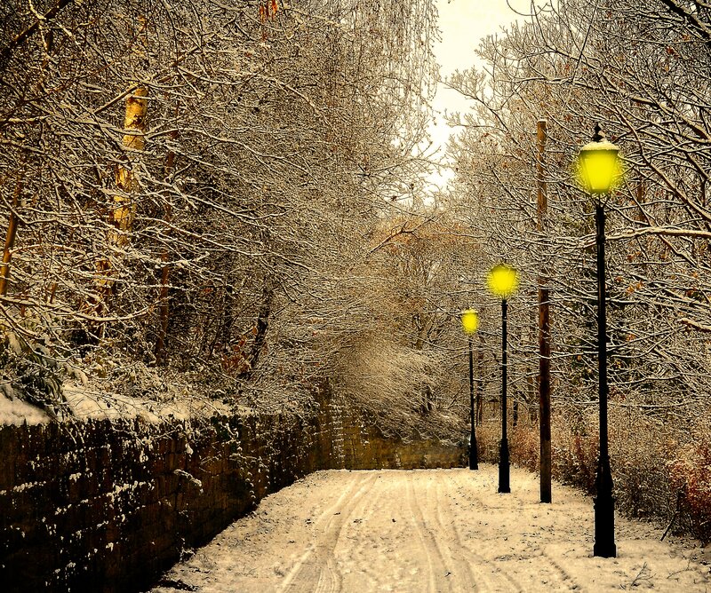 Snow-covered Path with Lamps