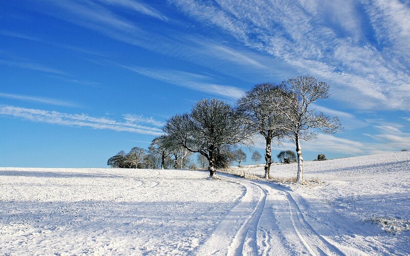 Snow-covered Path with Trees — Blue