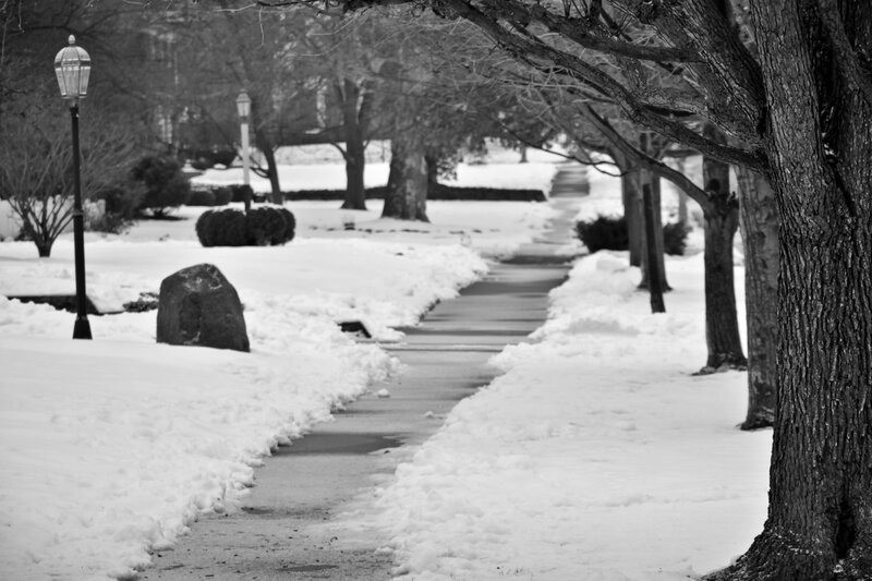Snow-covered Pathway — Black