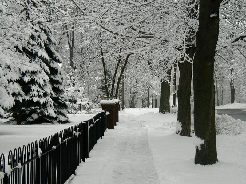 Snow-covered Pathway