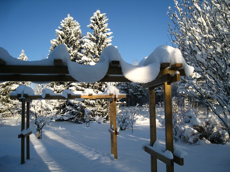 Snow-covered Pergola