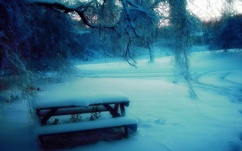 Snow-covered Picnic Table — Blue, Cold
