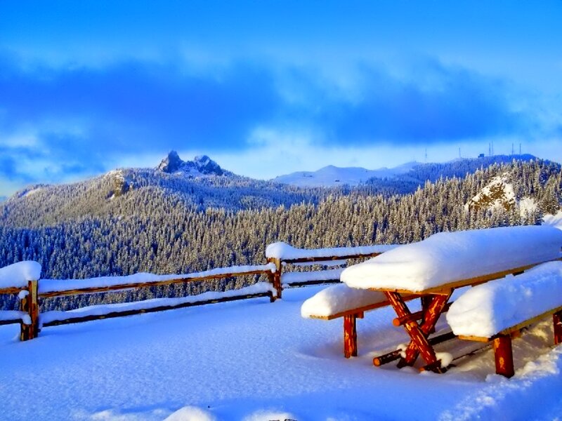 Snow-covered Picnic Table — Blue, Serene