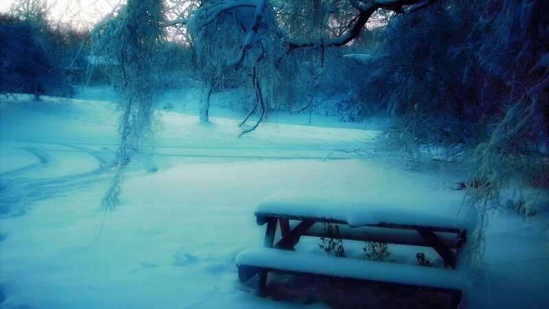 Snow-covered Picnic Table — Blue