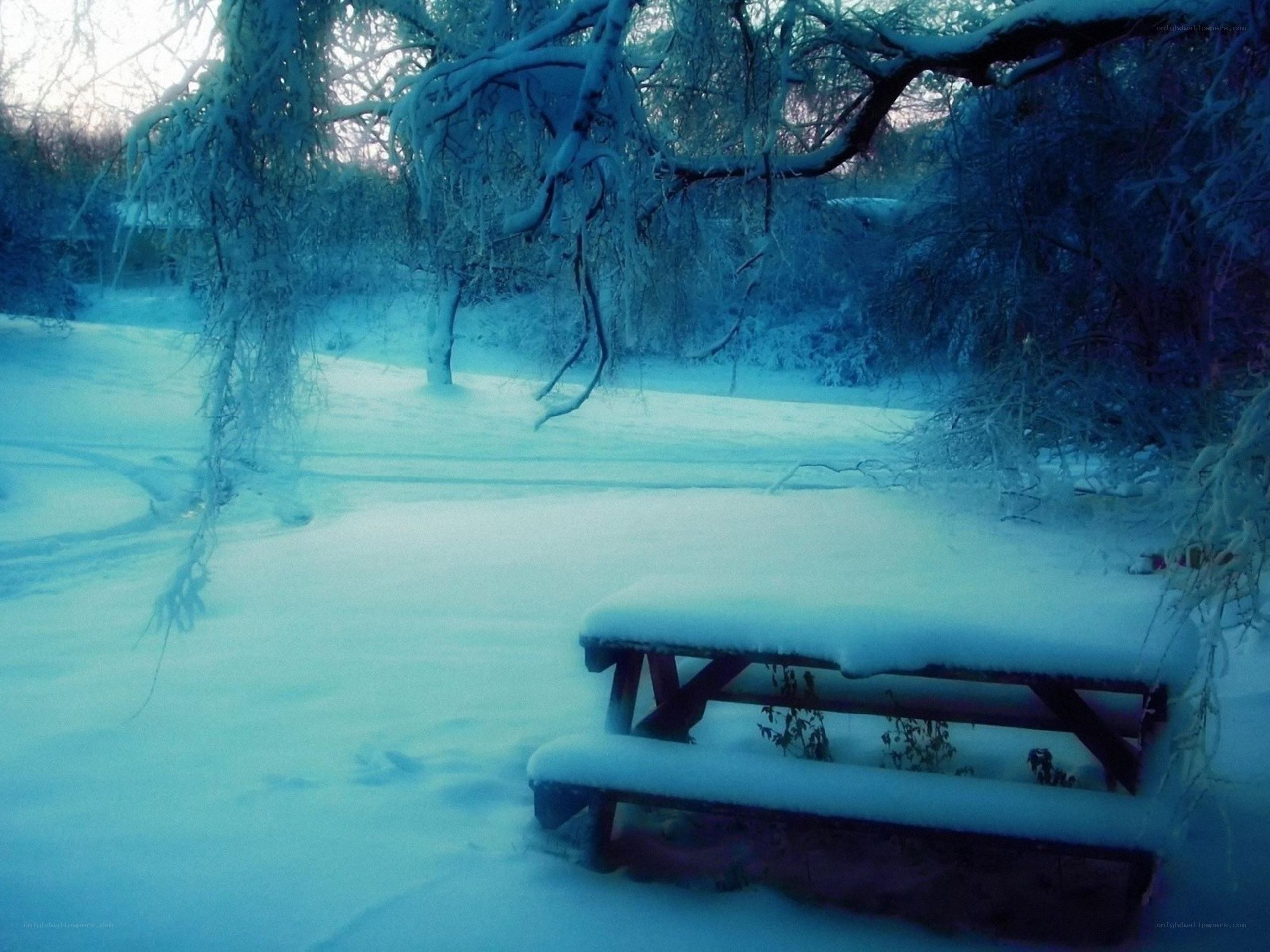 Snow-covered picnic table in winter