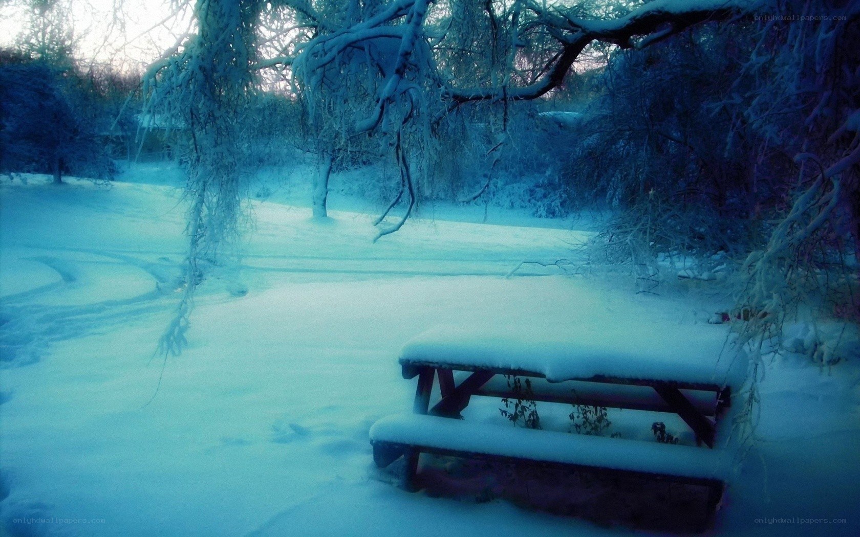 Snow-covered picnic table in winter